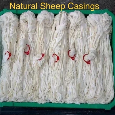 NATURAL SHEEP CASING