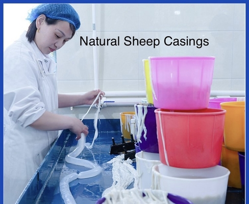 NATURAL SHEEP CASING